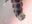ヤエヤママドボタル幼虫の尾脚拡大写真