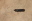 ムネクリイロボタルの幼虫