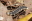 オキナワマドボタルの幼虫